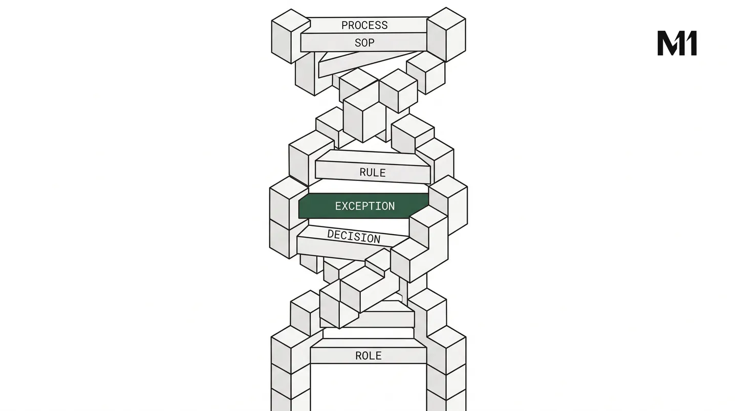 Illustration: What I mean by a genome